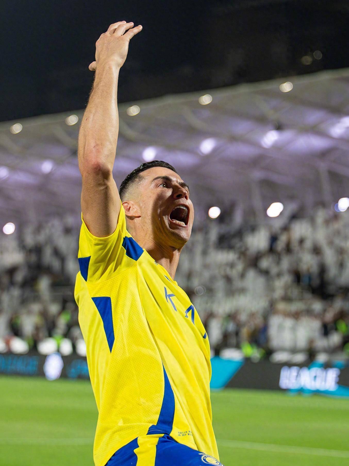 技术性与团 技术性与团