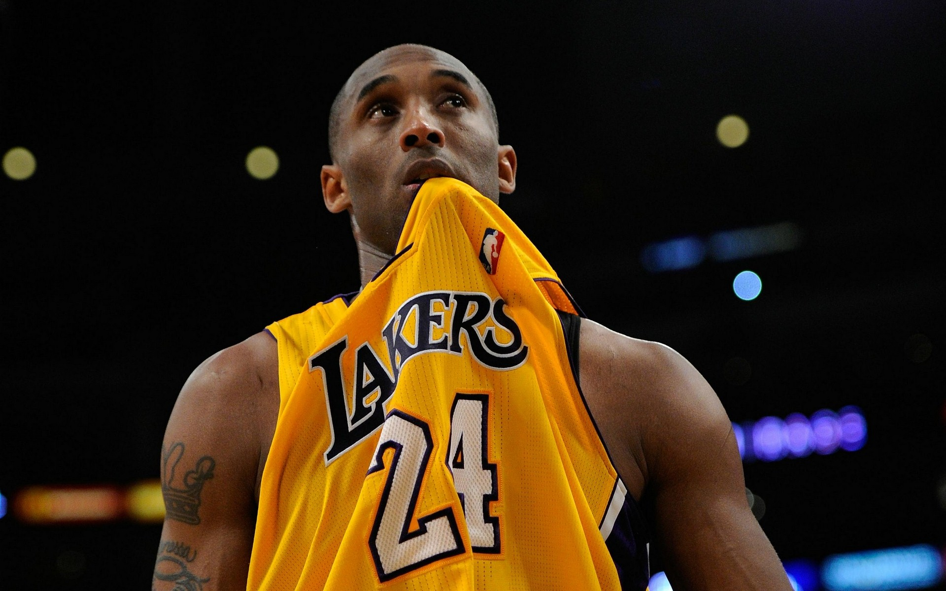 这种变化多 这种变化多