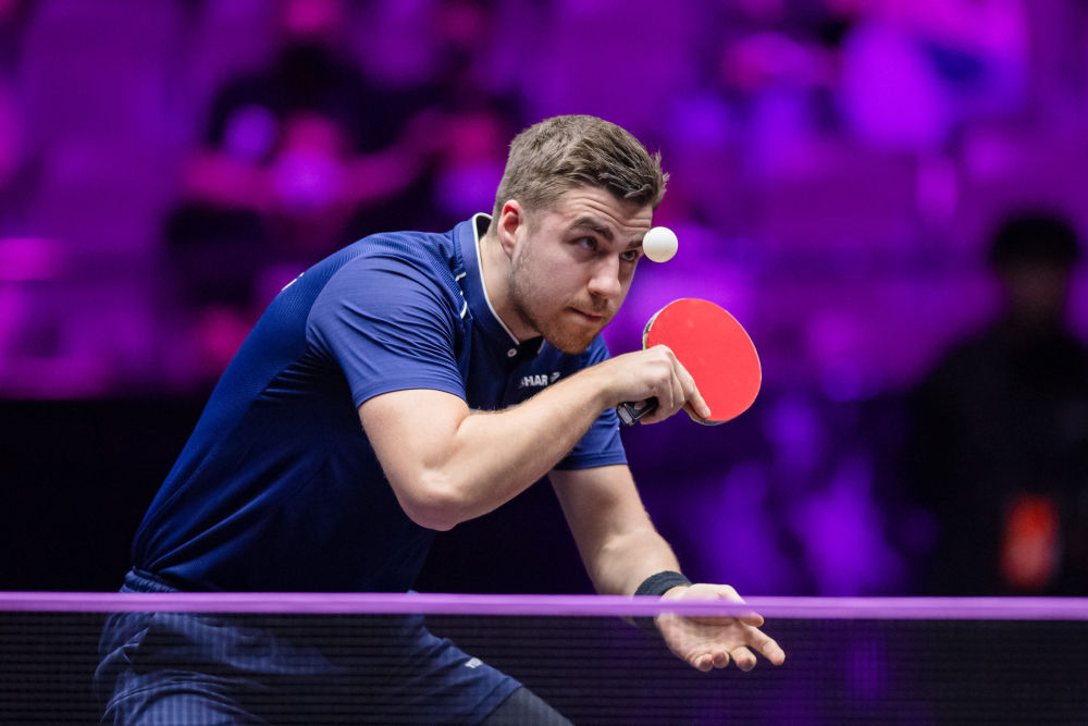 伦纳德的依 伦纳德的依