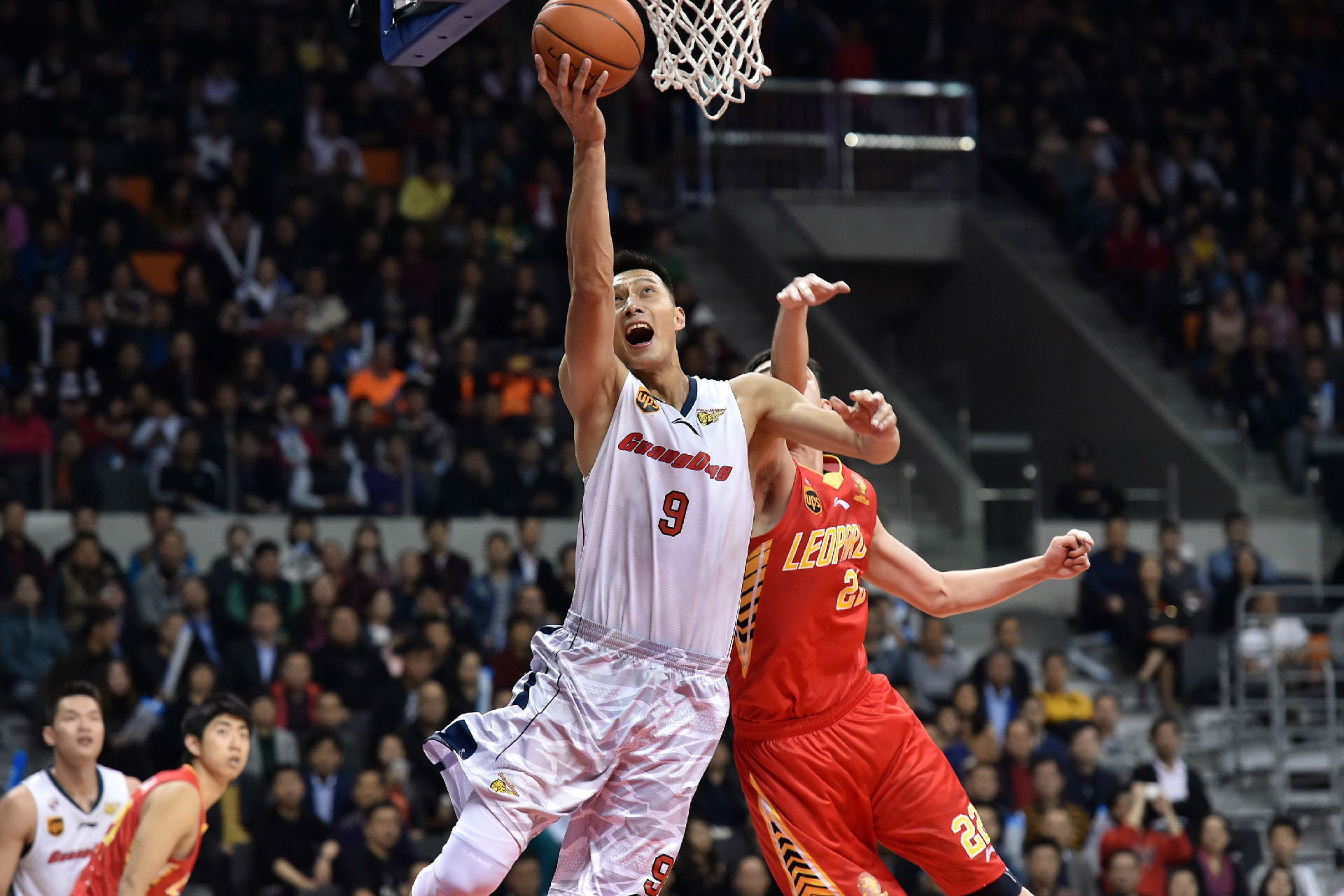 体能训练 体能训练