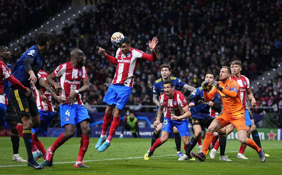 都能看到 都能看到