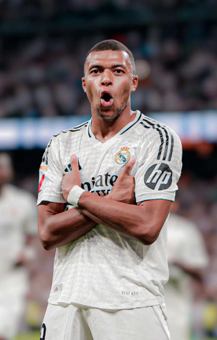 洋基主场气 洋基主场气